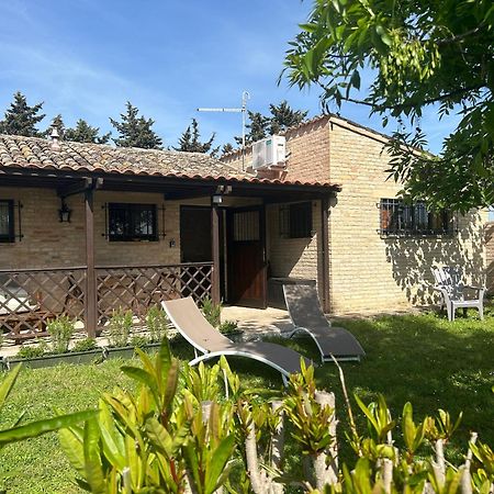 La Capparuccia Apartment Civitanova Marche Exterior photo